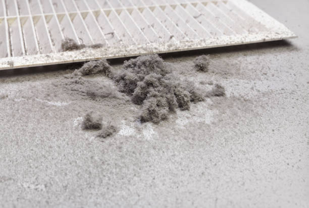 Best Home Air Vent Cleaning  in Sea Breeze, NC